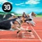 Welcome to the sequel of Dog Racing Tournament game