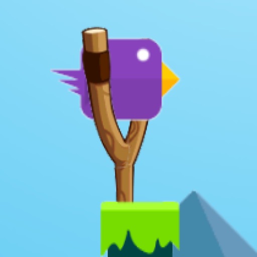 Newbie Birds iOS App
