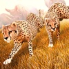 Wild Animal Simulator . Free Jungle Animals Racing