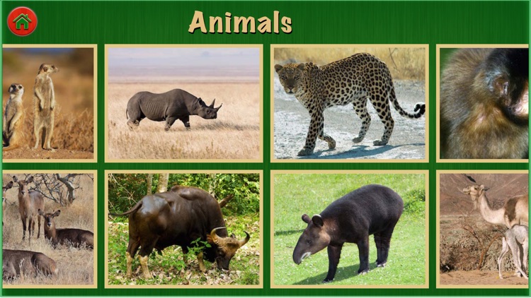 Animal World Pro For Kids and Toddlers Education
