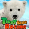 Teddy Bear Racing - Bear Simulator Racing For Kids