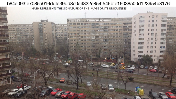Lgit screenshot-3