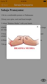 Nadi Shuddhi Yoga screenshot