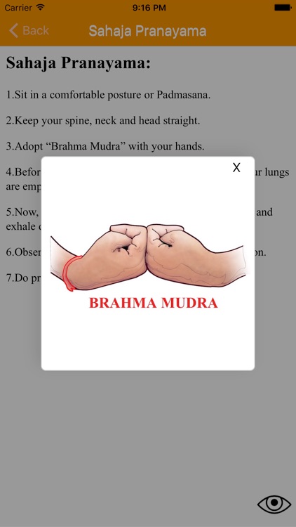 Nadi Shuddhi Yoga screenshot-4