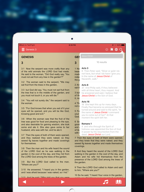 The Message Bible MSG Audio iPad screenshot 4 - Reference app