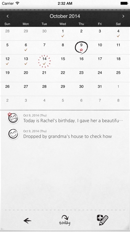 My Wonderful Days : Daily Journal/Diary