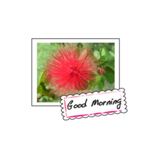 Wild Flowers stickers by wenpei iOS App