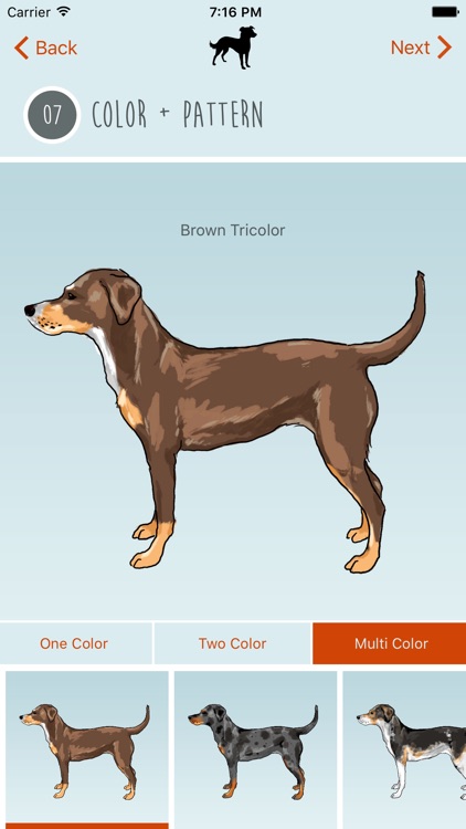 What's My Mutt?