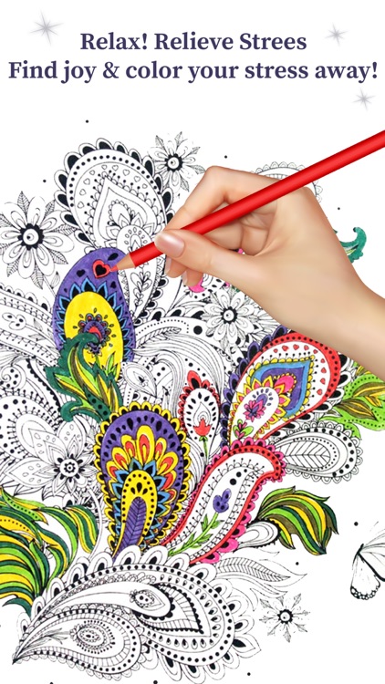 Coloring Book For Adults - Paisleys Edition