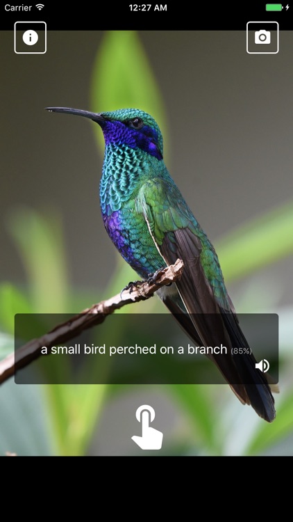 DescribeThat:helps blind and vision-impaired users screenshot-4