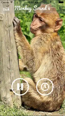 Game screenshot Monkey Sounds - Funny Sounds for kid hack