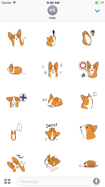 Lovely Corgi Animated Sticker