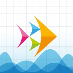 Brightfish Zorgladder