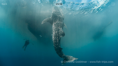 Screenshot #3 pour Amira