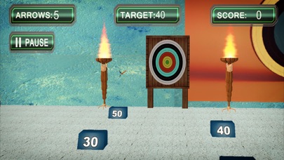 Screenshot #2 pour Tir à l'arc Objectifs Super Fr