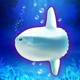 Aquarium Sunfish simulation game app icon