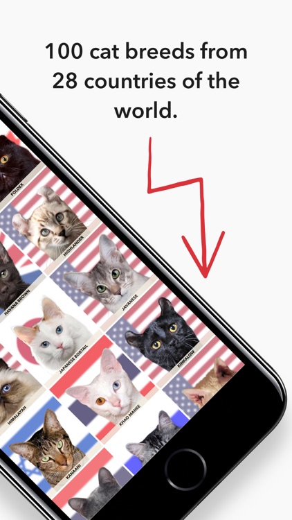 Kittylog - The Complete Catalog Of Cat Breeds