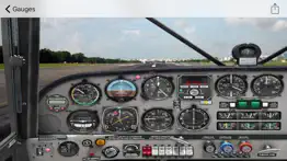 How to cancel & delete fsx animated cockpits 1