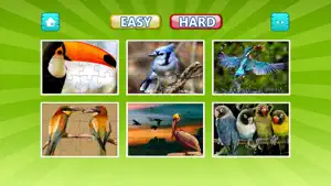 Bird Jigsaw Easy and Hard - Learn Puzzles For Kids screenshot #4 for iPhone