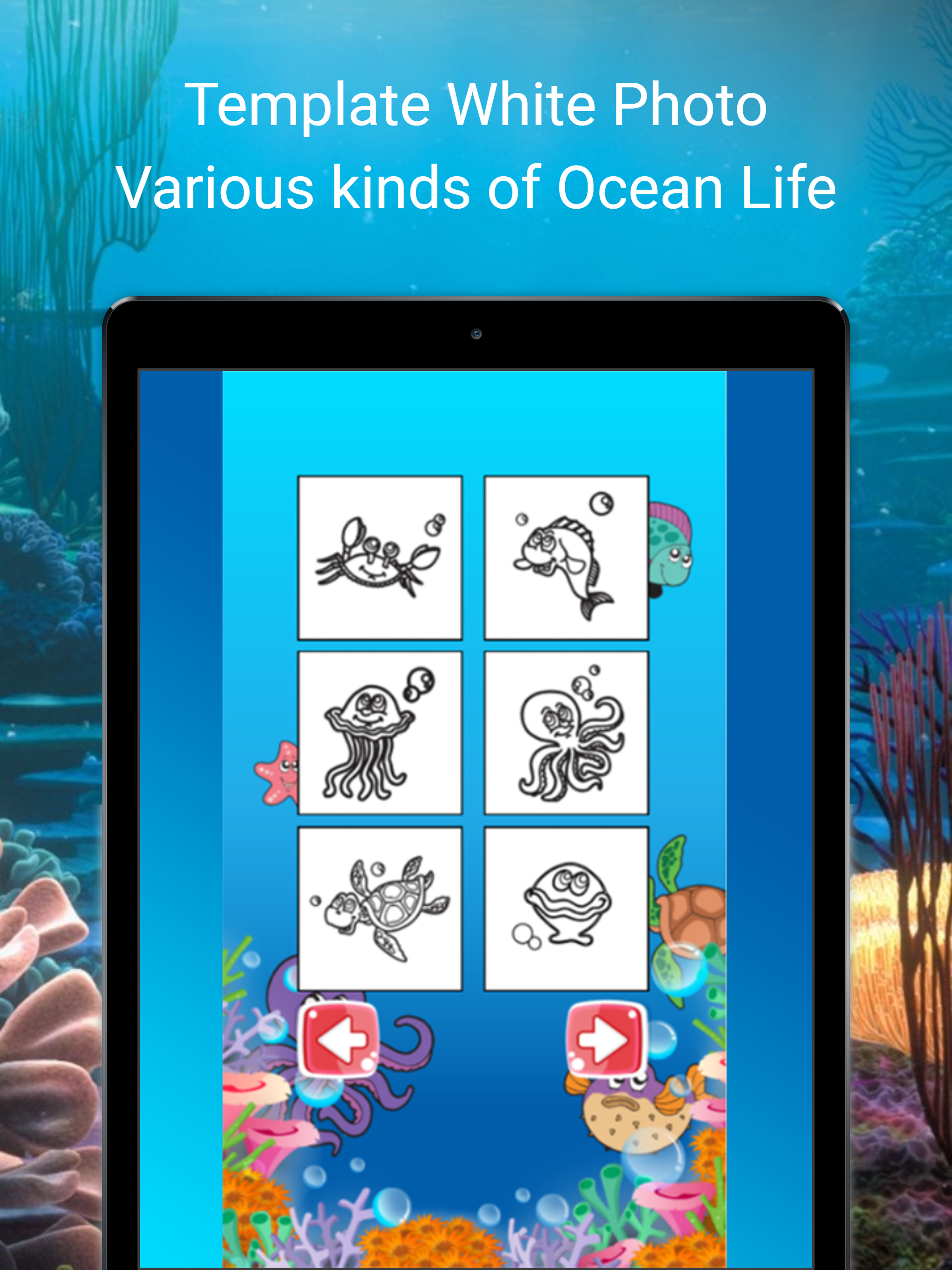 Fish Coloring Page - Art of Drawing Ocean Animal screenshot 5