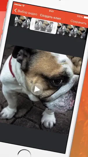 Скриншот Dance Machine App на iPhone 2