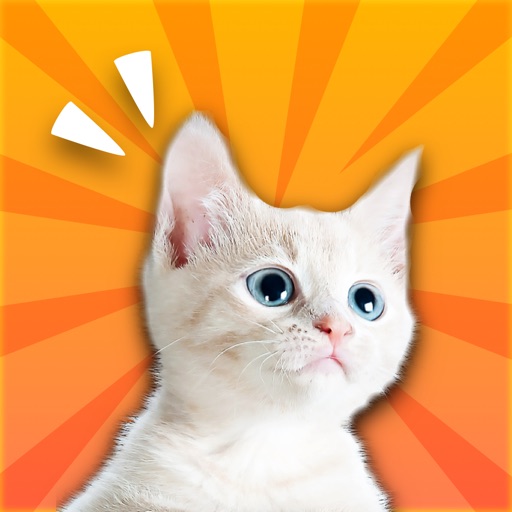 Magic Cat Whistle -Call and Train your cat icon