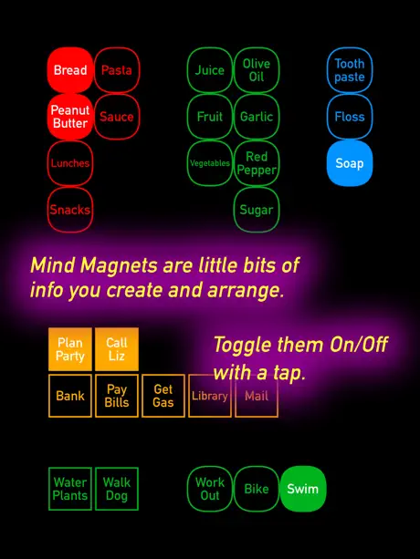 Mind Magnets Info Organizer—Visual Grid Checklists