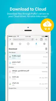 Puffin Browser Pro iphone resimleri 4
