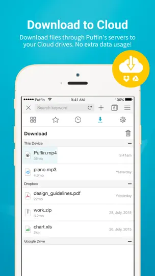 Captura de pantalla de Puffin Cloud Browser en iPhone 4