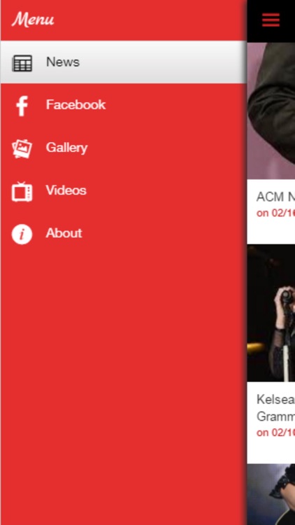 NStyle Country screenshot-4