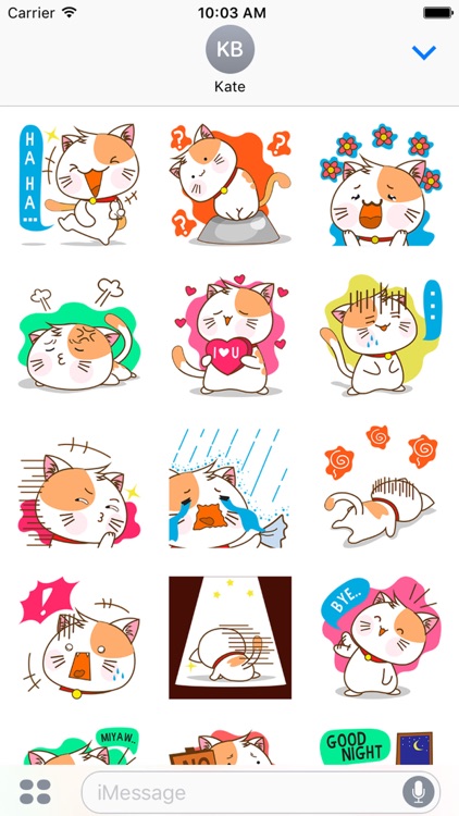 Kenta, the innocent cat for iMessage Sticker