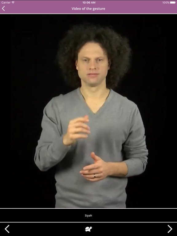 Screenshot #6 pour International Signs