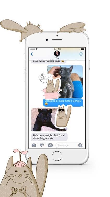 Everyday Cats Stickers