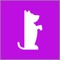 Sixlegs provides trusted dog walkers that have been vetted