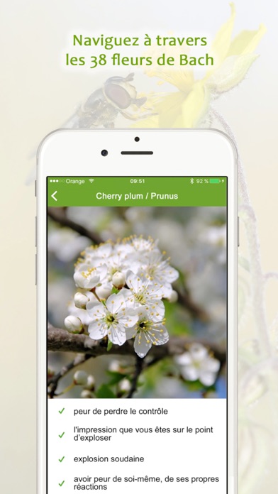 Screenshot #2 pour Mariepure