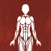 Learn Physiology &Body Anatomy - Quizmine.Com