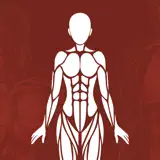 Learn Physiology &Body Anatomy - App Icon