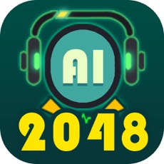 Activities of AI2048