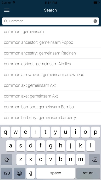 English : Azerbaijani Dictionary screenshot-4