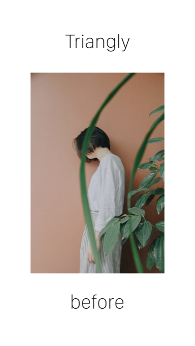 Screenshot #1 pour Triangly