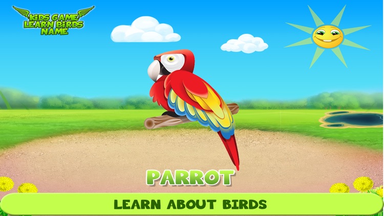 Kids Game Learn Birds Name
