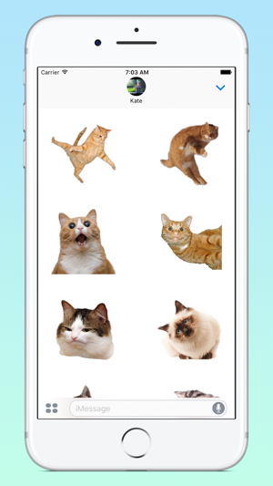 ‎Fresh Cats Screenshot