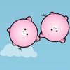 Catch Pigs Catch Pigs