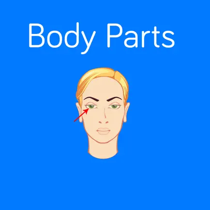 Body Parts Flashcard for babies and preschool Cheats