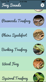 Frog  Sounds - Toad, Greenhouse Frog screenshot