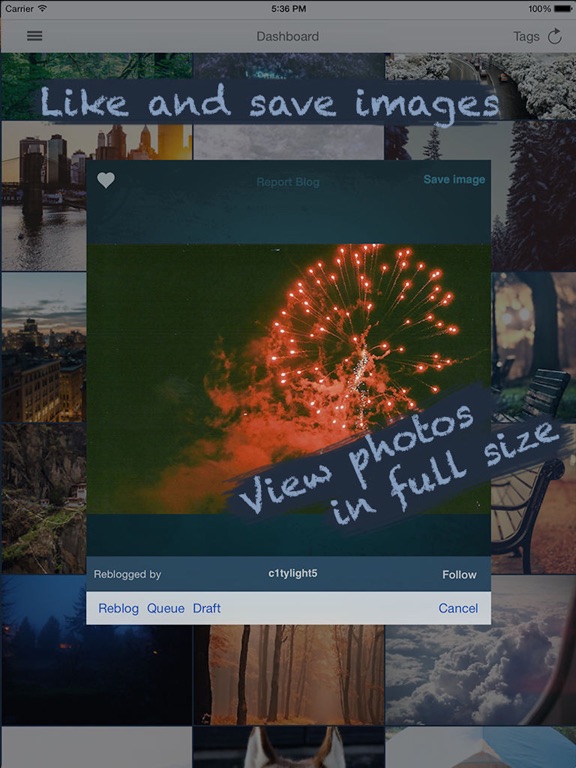 Screenshot #6 pour TumbleBoard Pro