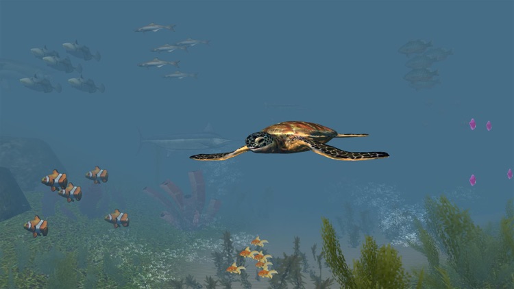 VR Sea Life Aquarium 3D