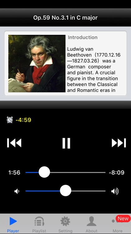 BeethovenQuartets2