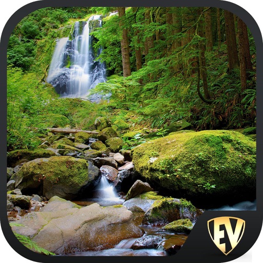 Forests & Waterfalls SMART Guide