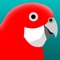 The PIZZEY AND KNIGHT BIRDS OF AUSTRALIA DIGITAL EDITION for iPhone and iPad is a comprehensive and interactive application that combines multimedia data on over 900 Australian bird species with seven interactive modules for every aspect of mobile birding, including the sounds of 750 species